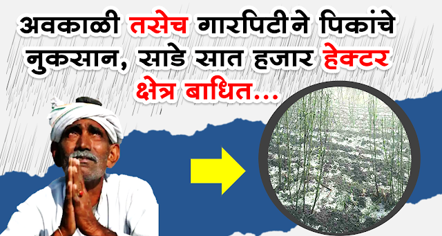 Avkali Ani Garpitine Nuksaan Maharahstra