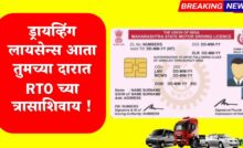 driving licence online 2024